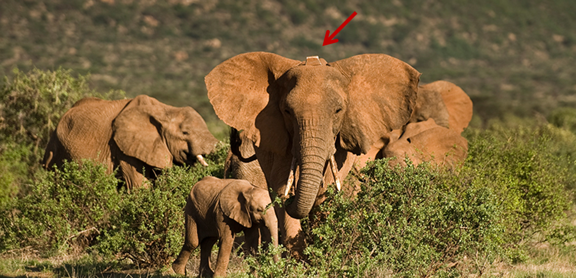 This image has been removed. For security reasons, only images from the local domain are allowed. Image removed.